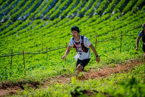 BIB: 
                            <button type="button" onclick="openModal(19162684)" class="btn btn-primary btn-sm float-right btn-popup" data-toggle="modal" data-target=".modal-high-quality">
                        <i class="fas fa-shopping-cart"></i> Add to Cart
                    </button>
                                            <button type="button" onclick="isThisMe(19162684, true)" class="btn btn-success btn-sm float-right btn-popup btn-isme hidden" data-toggle="tooltip" data-placement="bottom" title="นี่คือรูปของคุณใช่ไหม คลิกที่นี่เพื่อเอาเข้าอัลบั้ม">
                        <i class="fas fa-plus"></i> Add to album
                    </button>
                    <button type="button" onclick="isThisMe(19162684, false)" class="btn btn-warning btn-sm float-right btn-popup btn-isnotme hidden">
                        <i class="fas fa-ban"></i> Remove from album
                    </button>